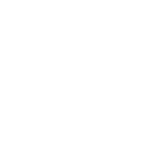 Logo Formula Student