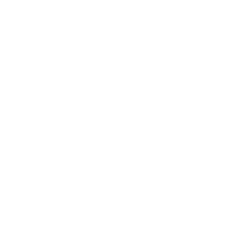 Logo Formula Student