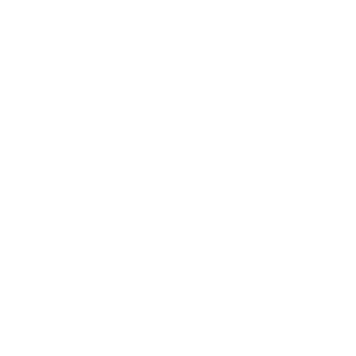 Logo Formula Student