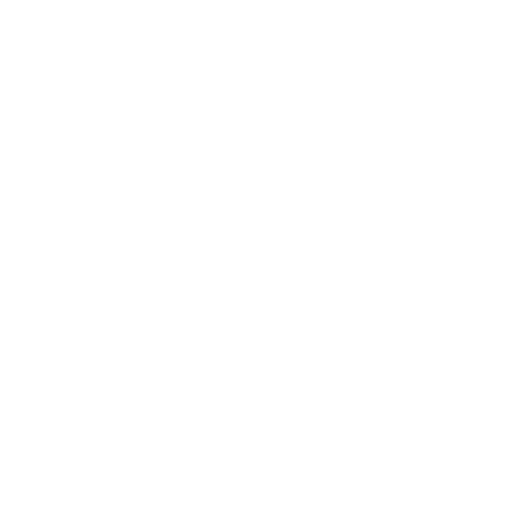 Logo Formula Student